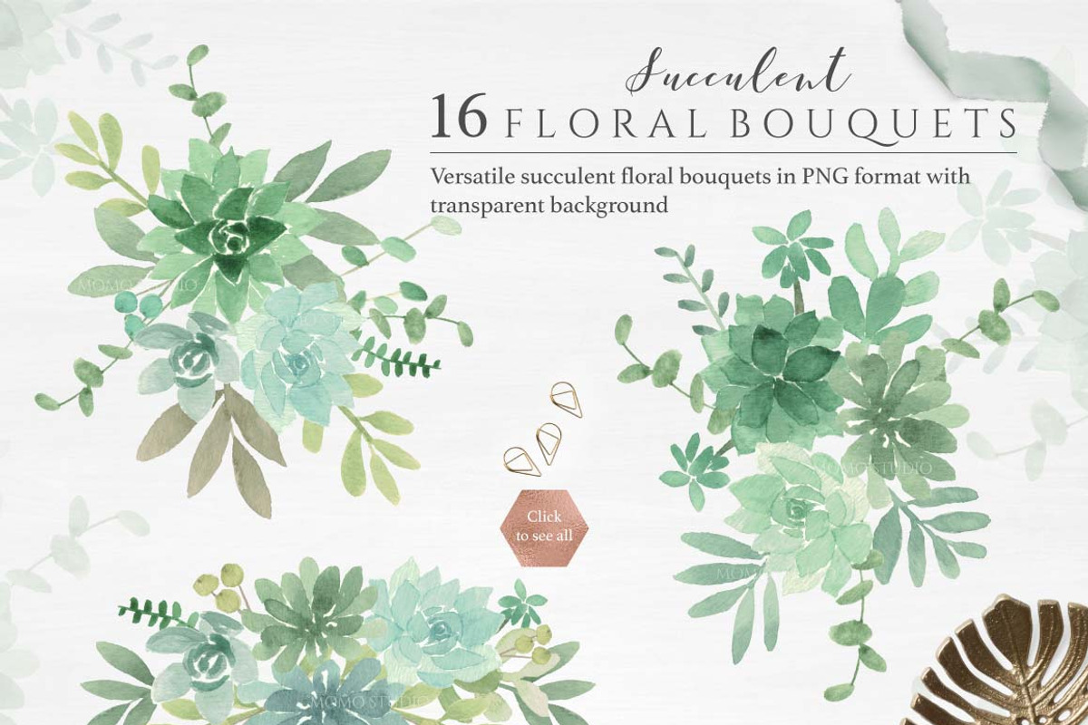 Botanist II - Airplants & Succulents, a Texture Illustration by Momo Studio (Photo 13 of 15)
