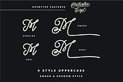 Orchestra Script - Monoline Typeface, a Script Font by ianmikraz (Thumbnail 6 of 14)