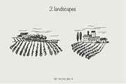 Aesthetic Vine / Winery and Food, an Object Graphic by Oxi An illustrator (Thumbnail 3 of 7)