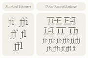 Regnio, a Blackletter Font by DKType Foundry (Thumbnail 10 of 19)