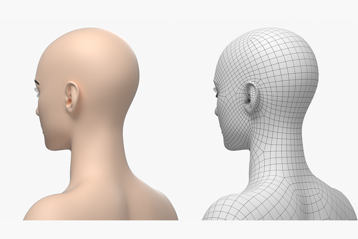 Natural Female 01 A-Pose Base Mesh, a Characters & Person 3D Model by VK Studio (Photo 17 of 26)
