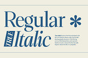 Morgelis, a Serif Font by Gatype (Thumbnail 2 of 15)