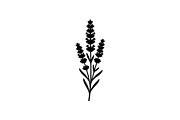 Lavender Botanical Silhouette Set, an Object Graphic by Designs_River (Thumbnail 2 of 3)