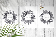 Tropical nature vector set, an Animal Illustration by Molly art (Thumbnail 5 of 15)