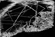 Black Static, a Texture Graphic by Jennifer Lauren Creative (Thumbnail 9 of 20)