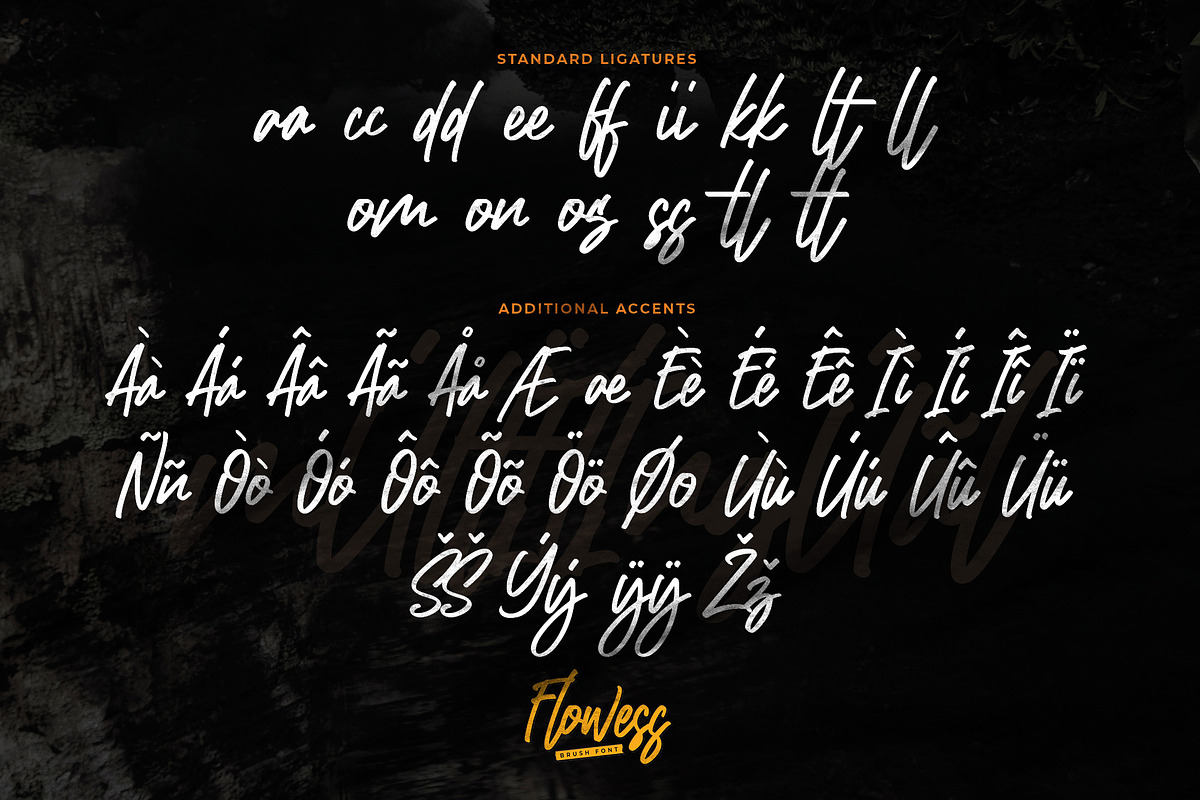 Flowess - Brush Font, a Handwritten Font by Gassstype (Photo 7 of 9)