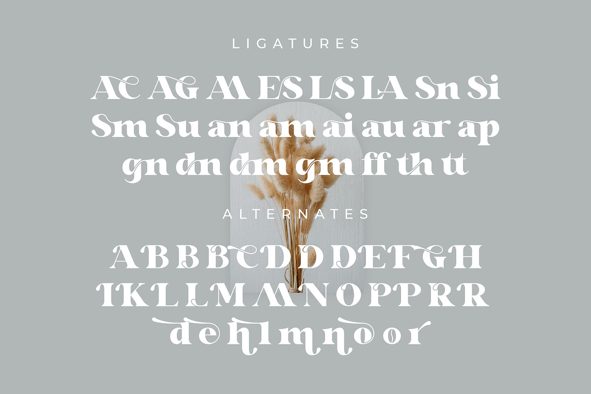 Glaure Vintage Serif Font, a Serif Font by Idea Studio (Photo 9 of 10)