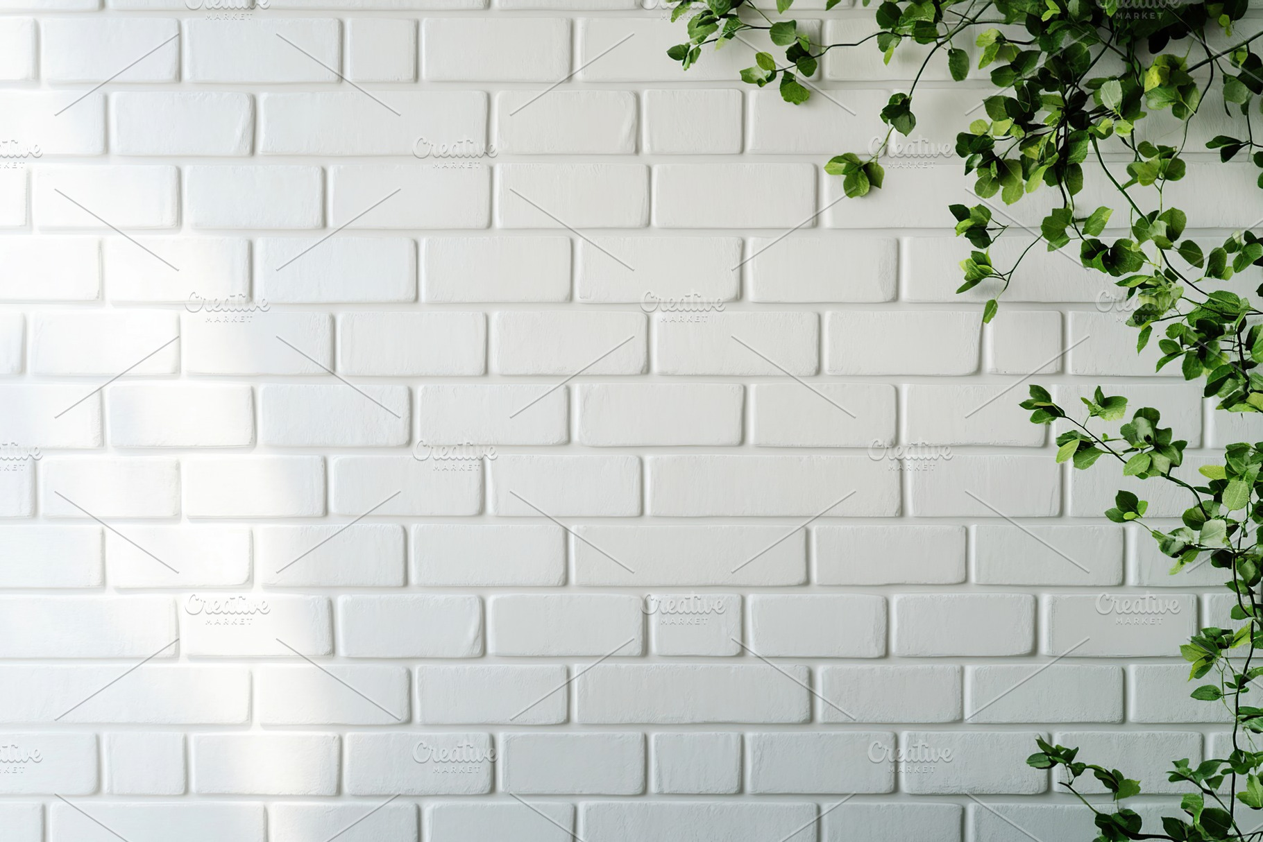 White ceramic tile wall background with green leaves, a Nature Photo by AlyaAnd