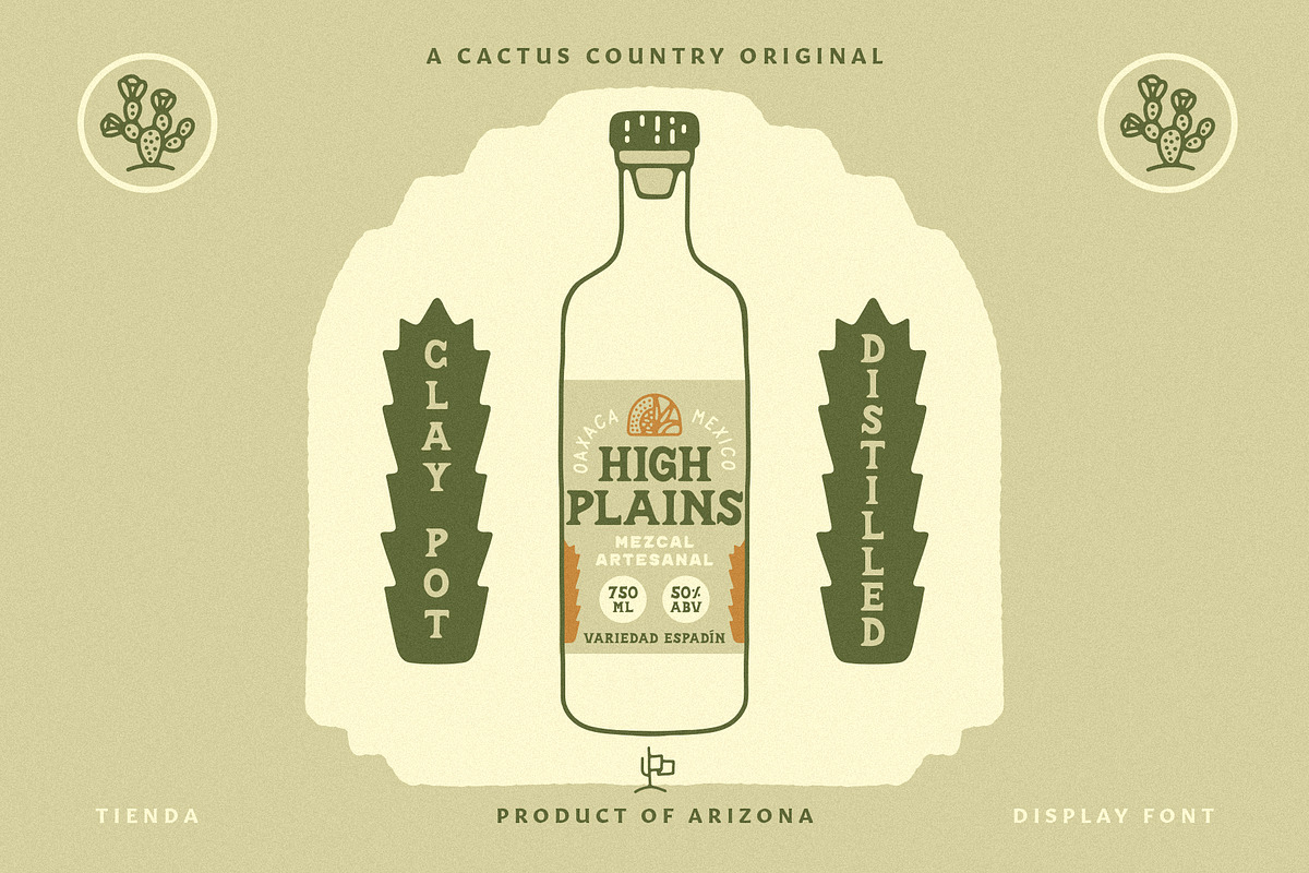 Tienda Display Font, a Serif Font by Cactus Country (Photo 3 of 6)