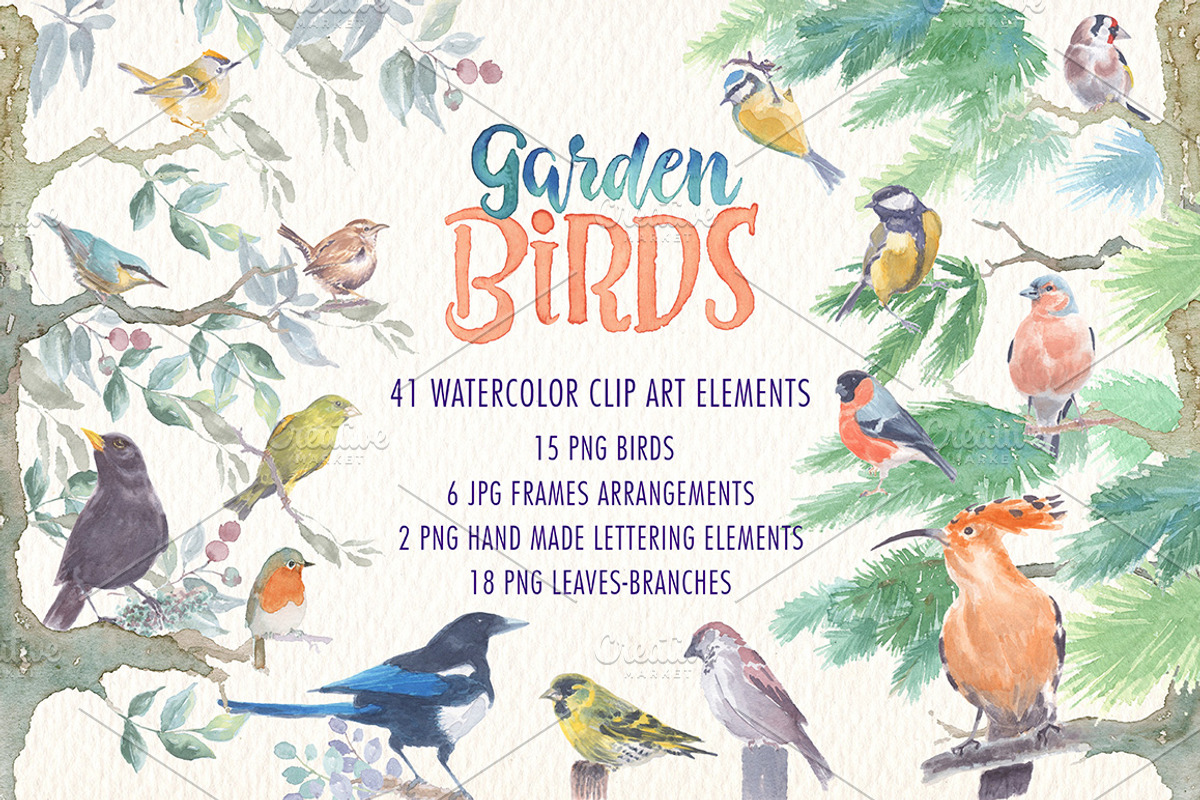 Garden birds watercolor clipart, an Animal Illustration by Art & Things (Photo 1 of 4)
