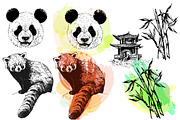 Panda, an Animal Illustration by Ecaterina Sciuchina (Thumbnail 4 of 6)