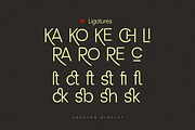 Houston, a Serif Font by Gatype (Thumbnail 8 of 10)