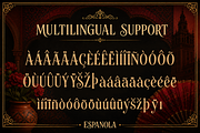 Espanola - Elegant Serif Font, a Serif Font by overlaytemplates (Thumbnail 5 of 5)