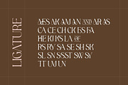 Aesthetic - Modern Display Serif, a Serif Font by Nirmana Visual (Thumbnail 5 of 7)