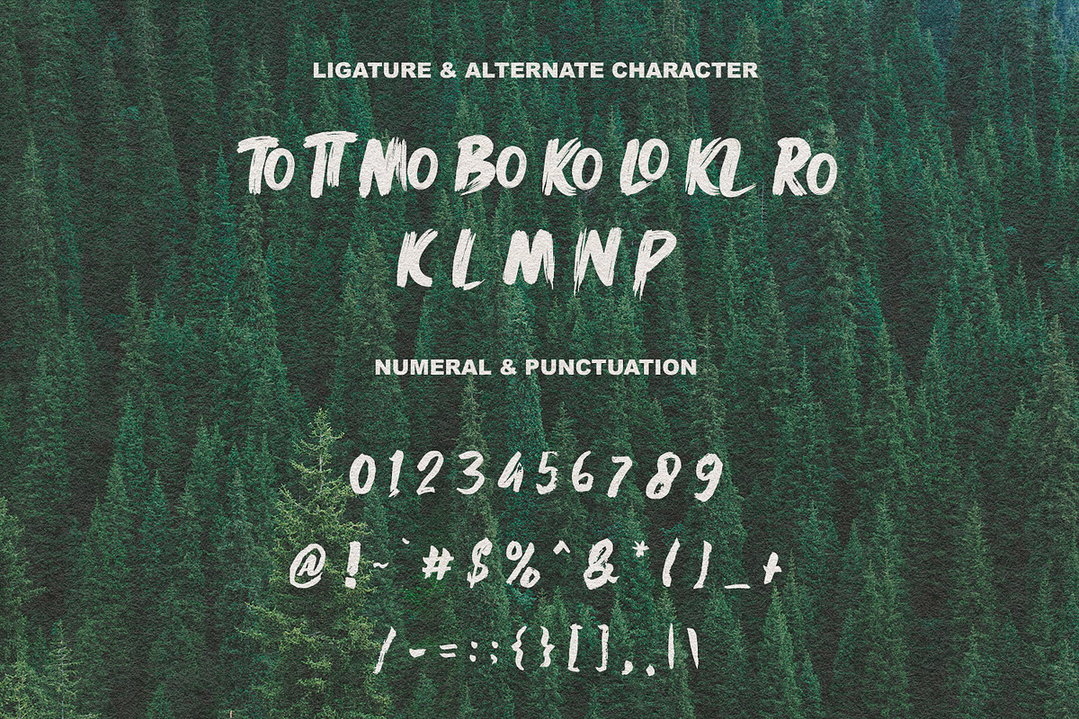 Rickbers Brush Font, a Handwritten Font by Maulana Creative (Photo 3 of 5)