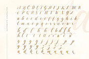 Wedding Trope - Romantic Script, a Script Font by Sarid Ezra (Thumbnail 9 of 10)