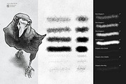 Procreate - Stipple Shading Studio, a Brush Add-On by DiBrush Studio (Thumbnail 6 of 7)