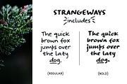 Strangeways handwritten sans font, a Script Font by Ana's Fonts (Thumbnail 2 of 7)