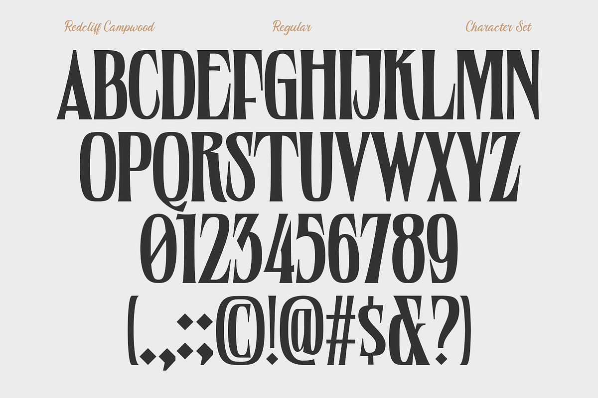 Redcliff Campwood, a Serif Font by din-studio.com (Photo 10 of 16)