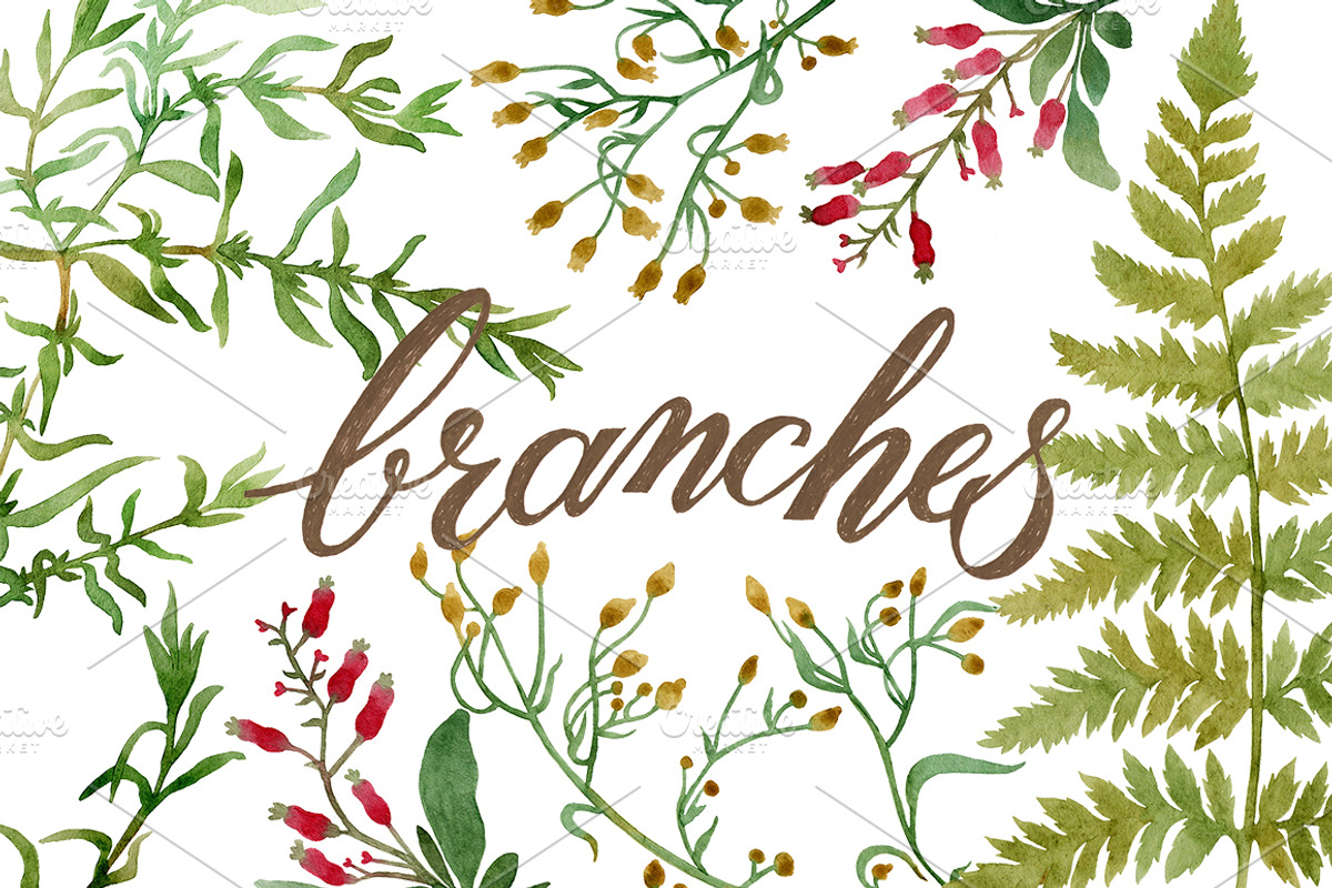 Branches, an Illustration by Watercolor life (Photo 1 of 10)