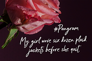 Ardolint Tijza Font, a Script Font by Mabhal Studio (Thumbnail 4 of 10)