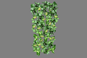 Ivy_Flat, an Environmental 3D Model by 2dawngames (Thumbnail 1 of 2)