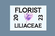 Frozenca Modern Serif Display Font, a Serif Font by UICreative (Thumbnail 3 of 12)