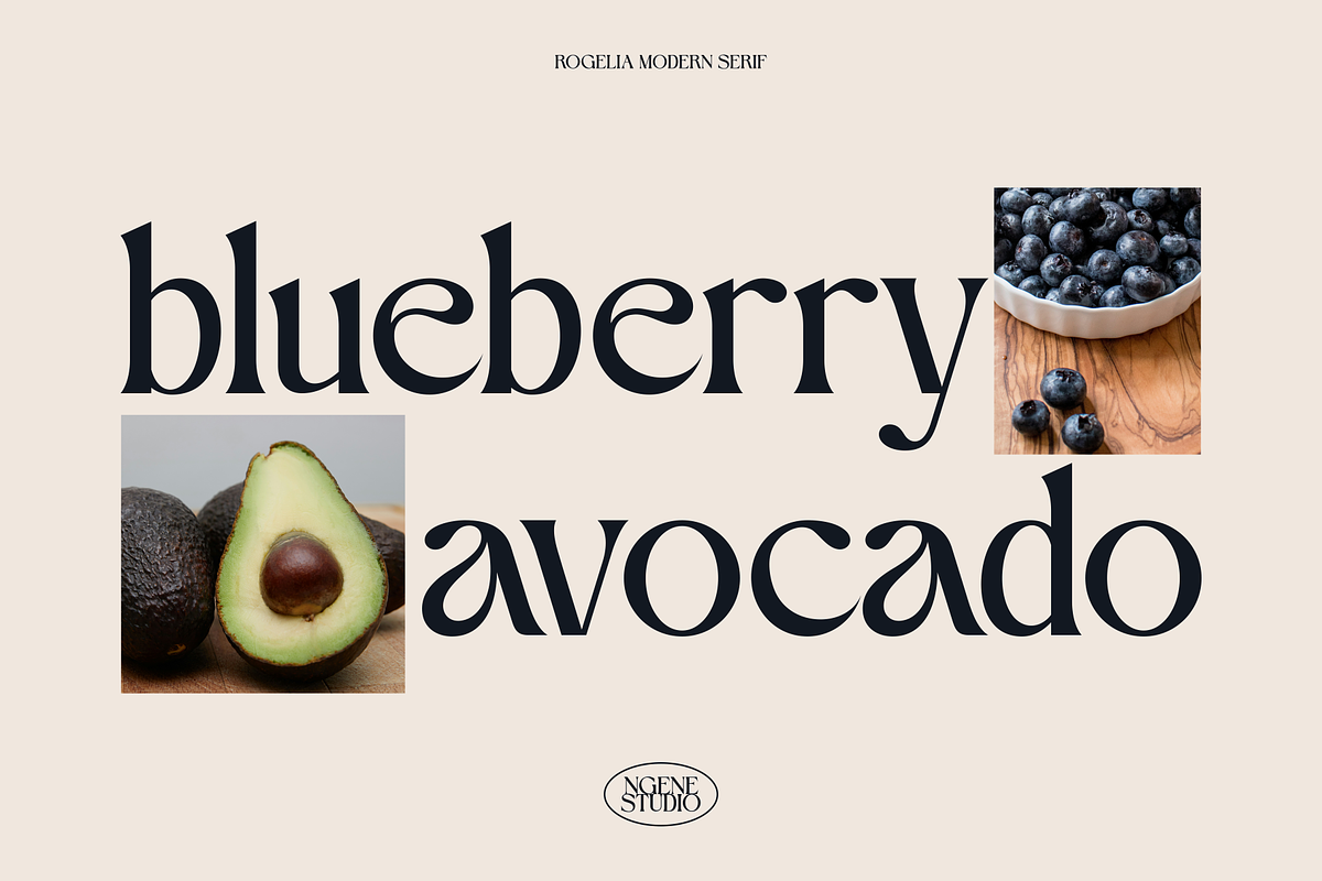 Rogelia Modern Serif, a Serif Font by ngene (Photo 4 of 11)