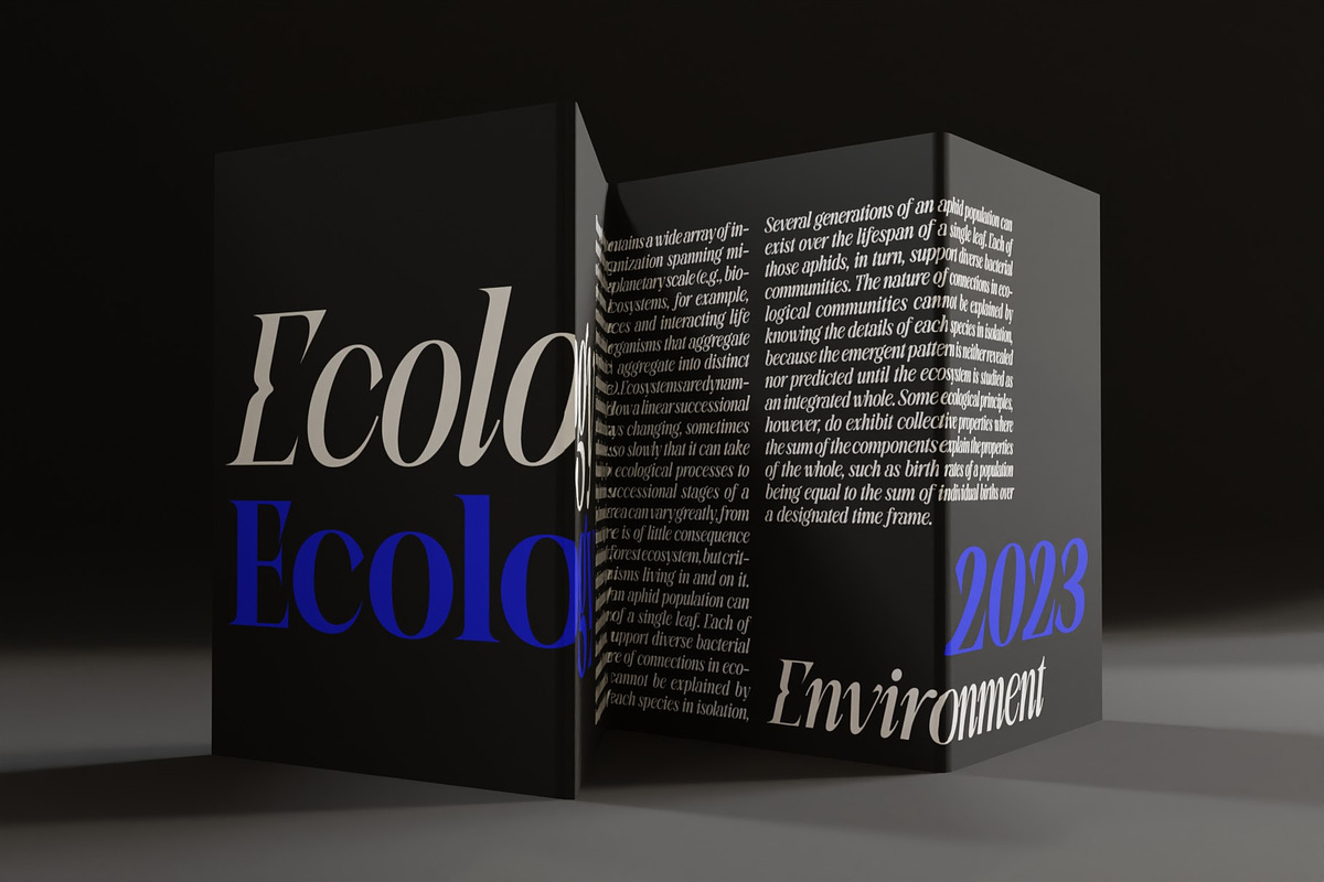 BeOkay Display Serif, a Serif Font by Ryul Davidson (Photo 4 of 17)