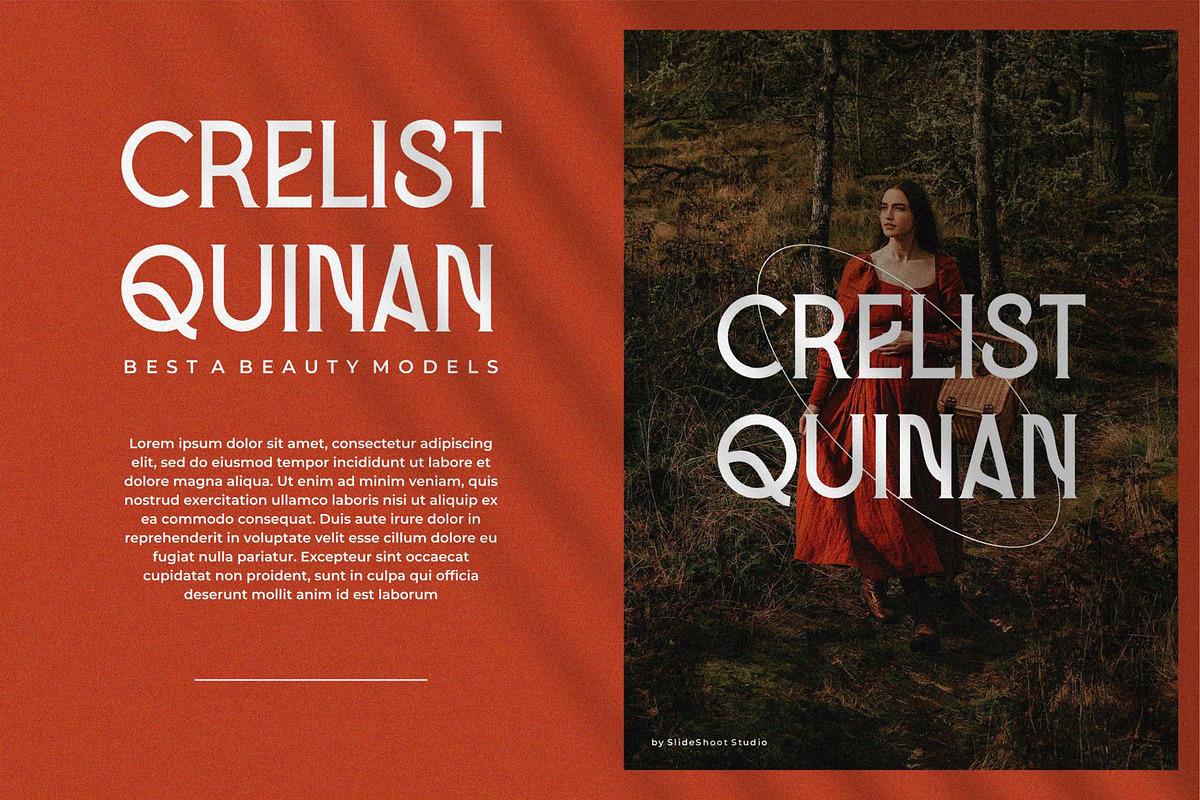 Decides Poland || Display Serif, a Serif Font by Idea Studio (Photo 2 of 5)