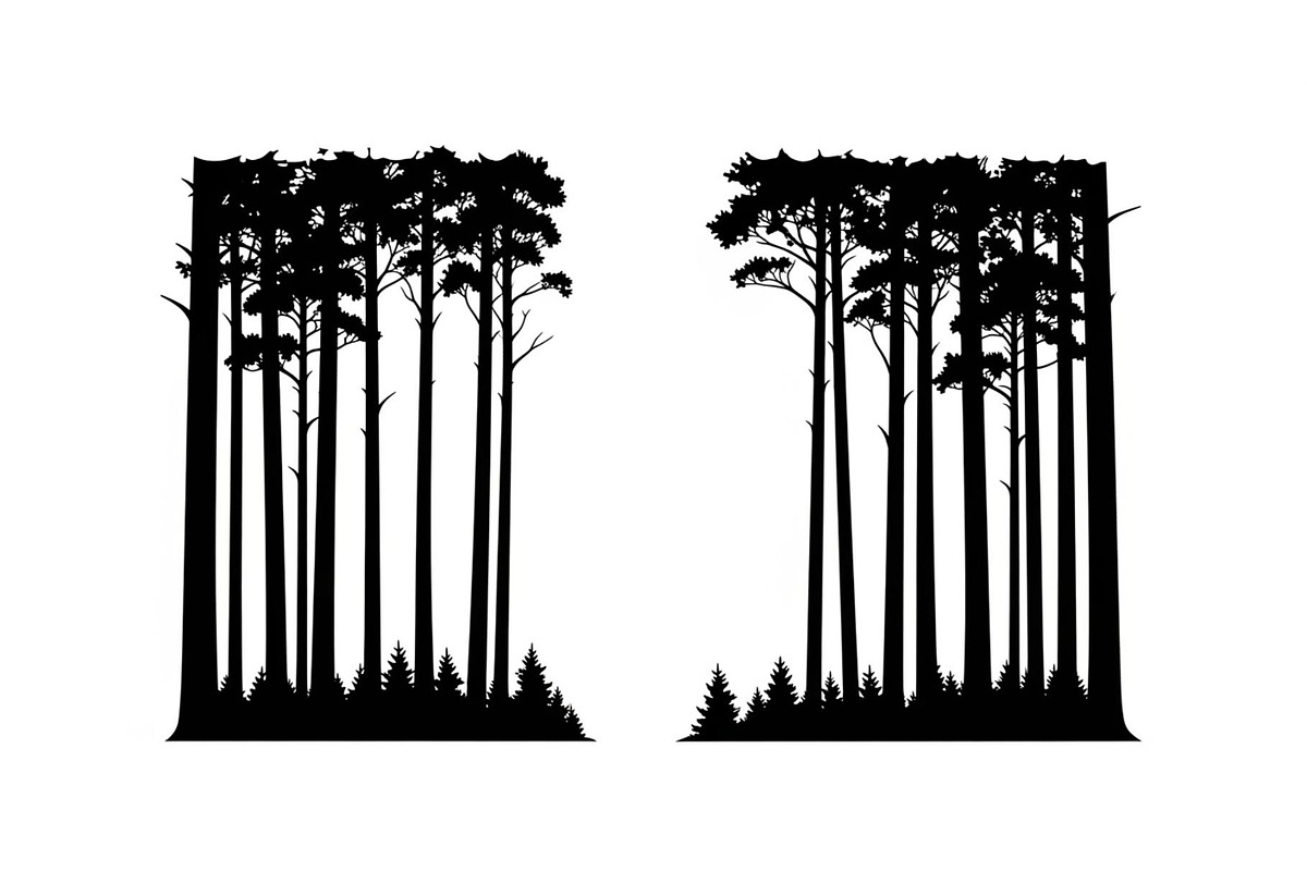 Forest Frame Silhouette SVG Bundle, an Illustration by jahid234 (Photo 33 of 51)