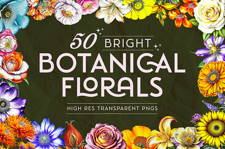 Bright Botanical Florals Pack
