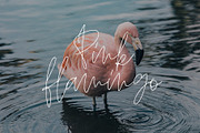 HAMILTON SIGNATURE font, a Handwritten Font by supfonts (Thumbnail 8 of 9)
