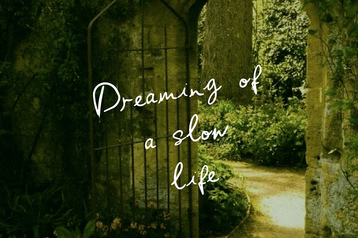 Midnight Garden Handwritten Font, a Font by mpllano14 (Photo 5 of 7)