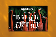 Antigua - Tropical Display, a Serif Font by HipFonts (Thumbnail 3 of 11)
