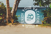 Tropical Illustration Asset Pack, an Object Illustration by Southerntown (Thumbnail 9 of 9)