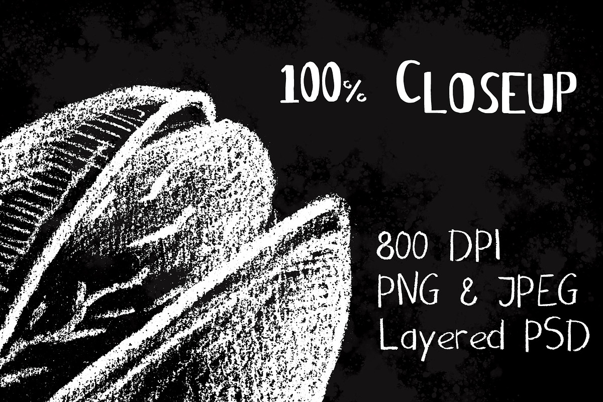 White Chalk Sketched Nuts Clipart, a Food Illustration by RabbitAndPencil (Photo 3 of 5)