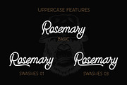 Eastsiders - Monoline Font Duo, a Script Font by Wellscript Studio (Thumbnail 9 of 14)