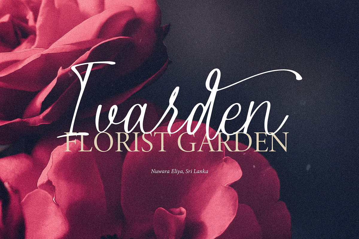Alphiness | Handwritten Script Font, a Script Font by Denustudios (Photo 4 of 15)