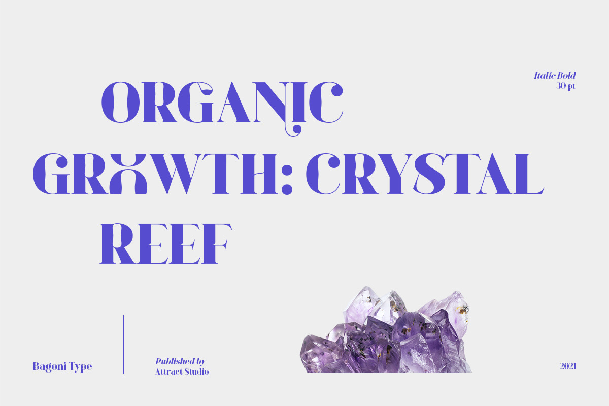 Bagoni Type, a Serif Font by Attract Studio (Photo 10 of 19)