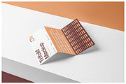 Flayer Trifold and Brochure Mockups, a Mockup by Mr.Mockup™ (Thumbnail 7 of 18)