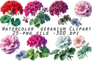Watercolor geranium Clipart, an Illustration by Designworld
