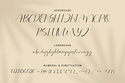Arlington | Feminine Font, a Script Font by Lightsense (Thumbnail 10 of 12)