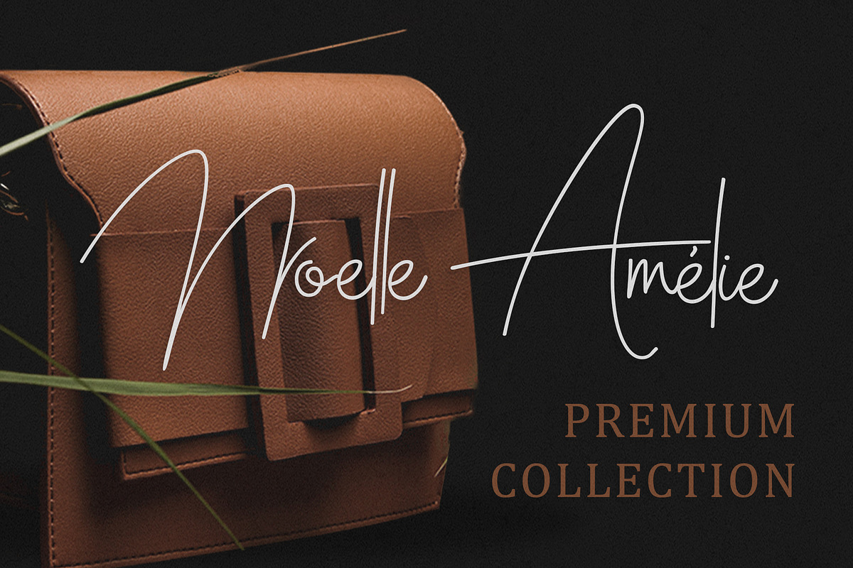 Diction Signature – Handwritten Font, a Handwritten Font by MEANDSTUDIO (Photo 4 of 10)