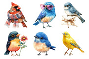 Cute Birds Clipart, an Illustration by Daily.Designs (Thumbnail 5 of 5)
