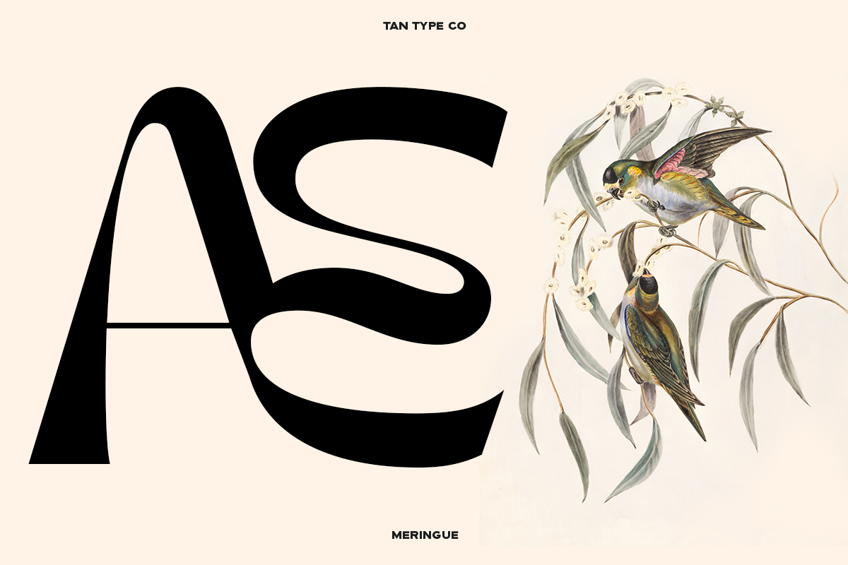 Free Download - Fontfreebie