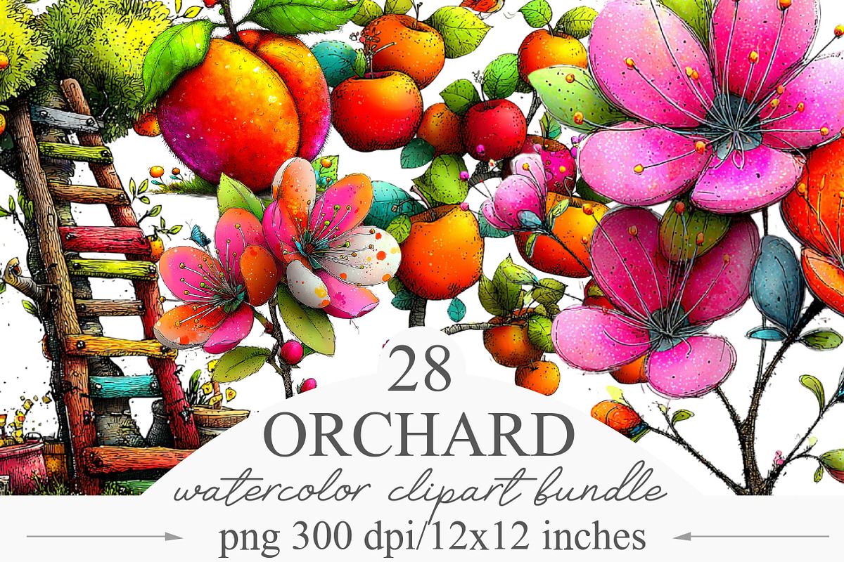 Orchard Watercolor Clipart, an Illustration by Designking (Photo 1 of 5)