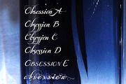 Obsession Script, a Script Font by Wiescher Design (Thumbnail 4 of 7)