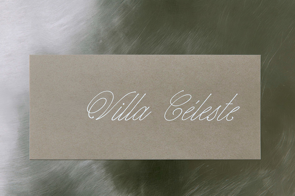 Studio Nomad // Script Family, a Script Font by PeachCreme (Photo 5 of 23)