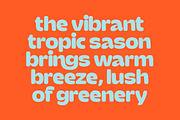 Gemst Retro Bold Display Sans, a Sans Serif Font by timelesstype.co (Thumbnail 7 of 15)